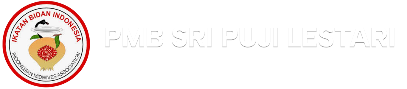logo footer spl